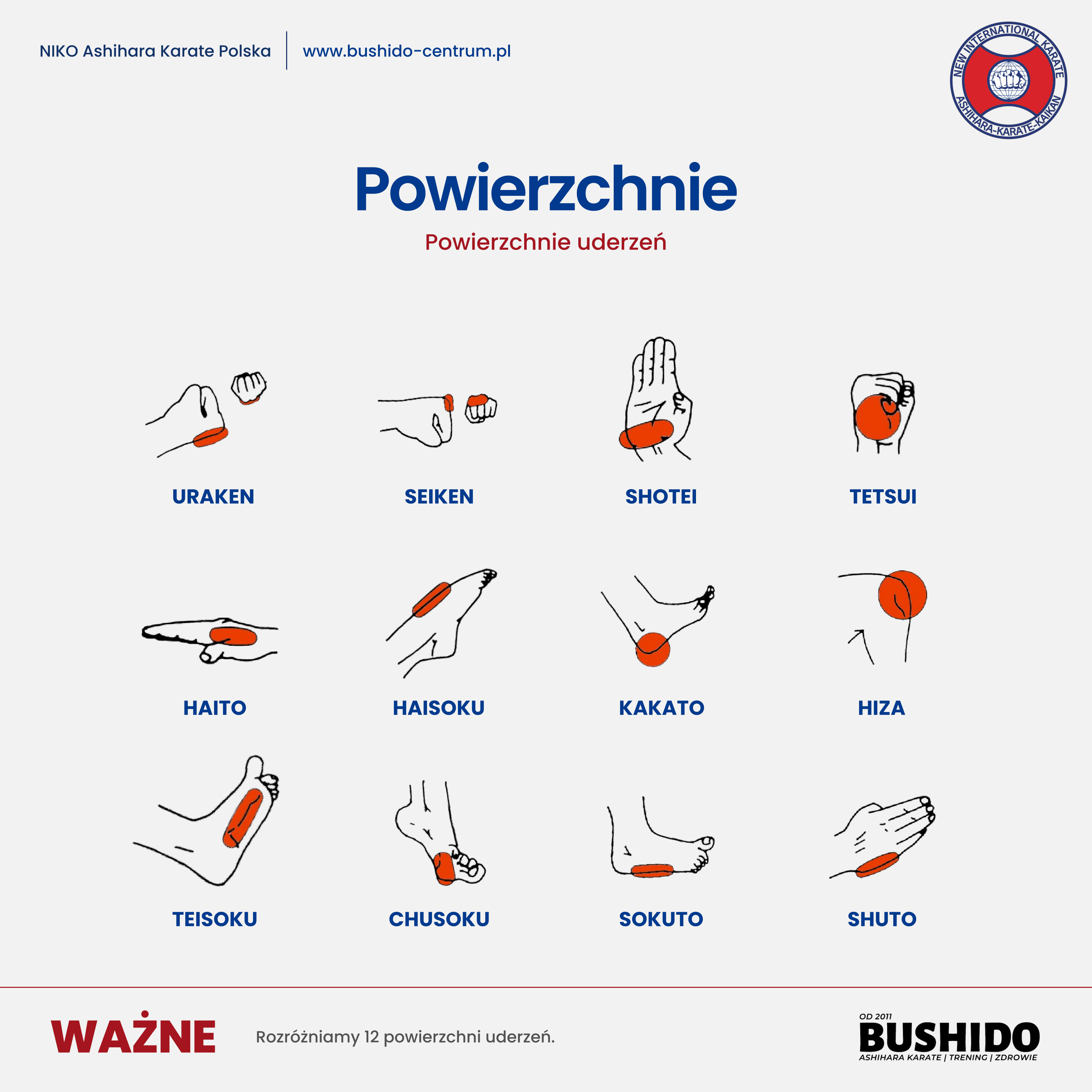 Powierzchnie