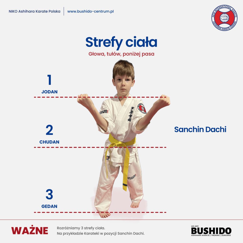 Strefy ciała