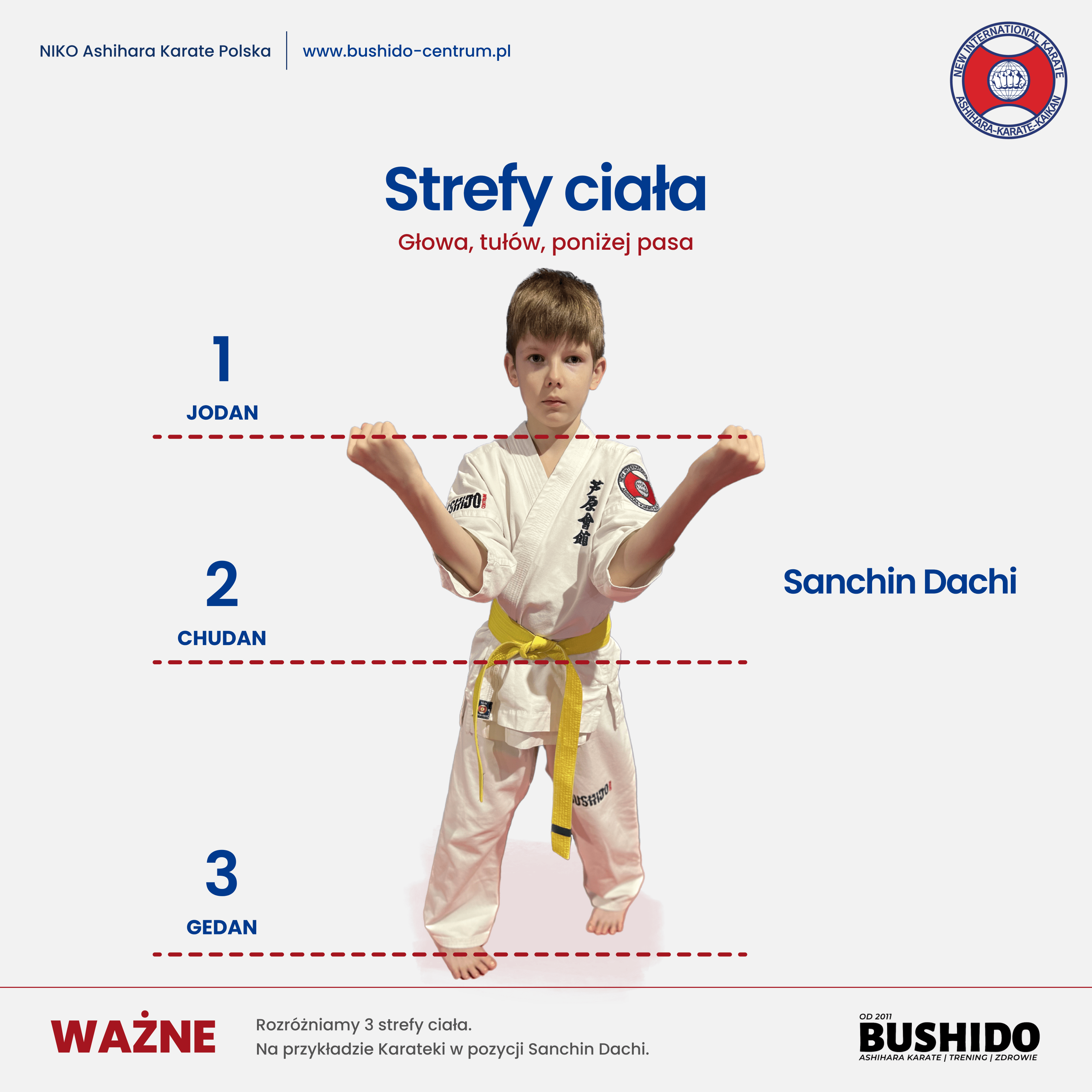 Strefy ciała