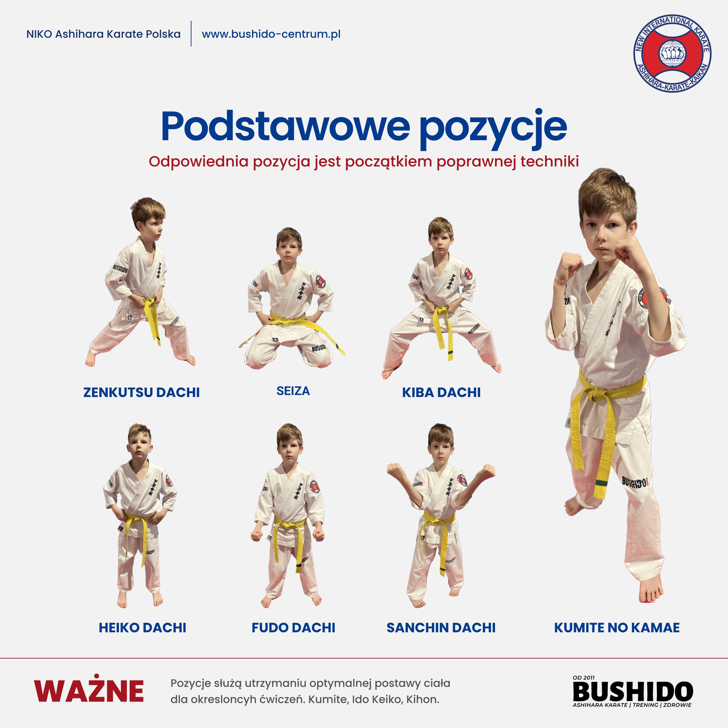 Podstawowe pozycje