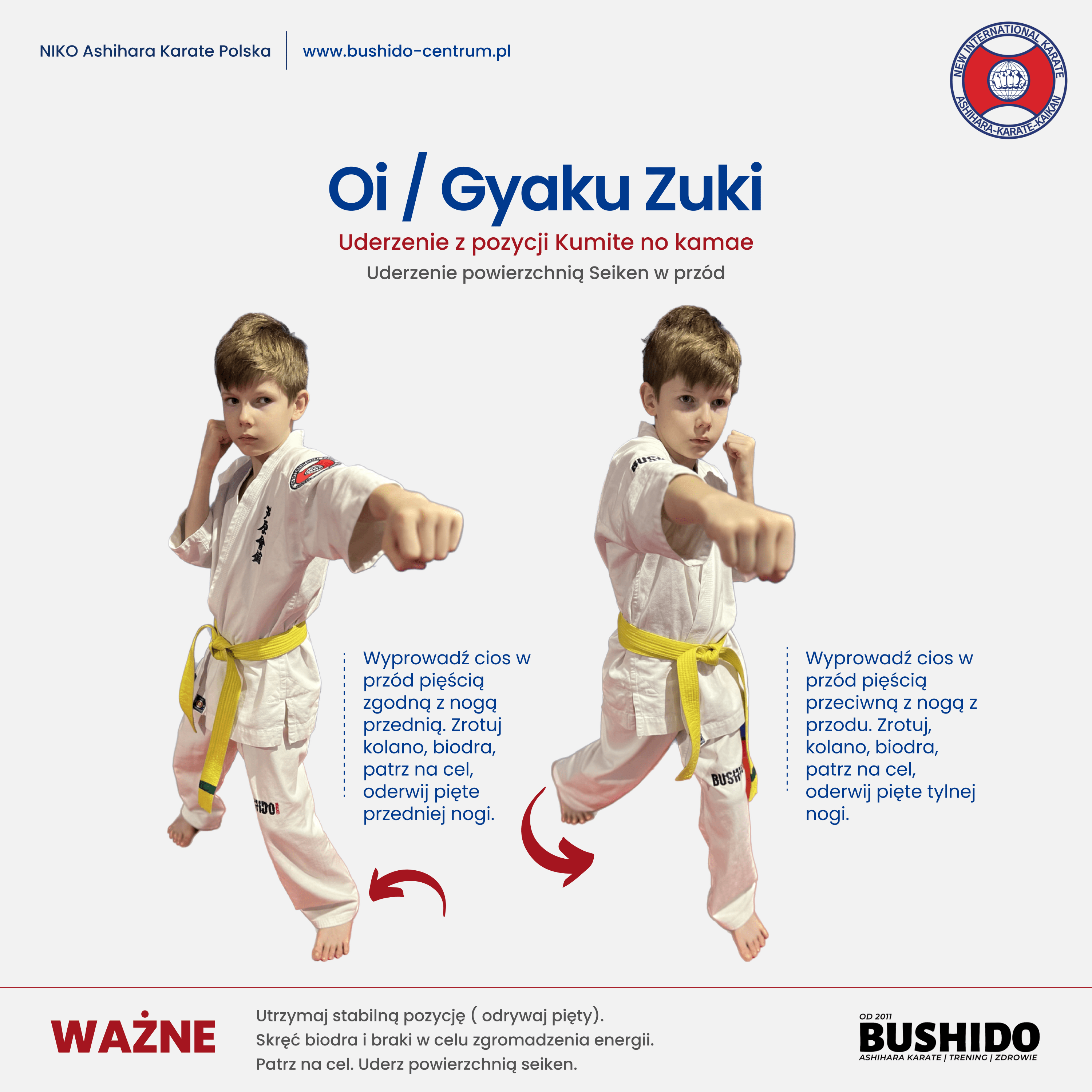 Oi / Gyaku Zuki