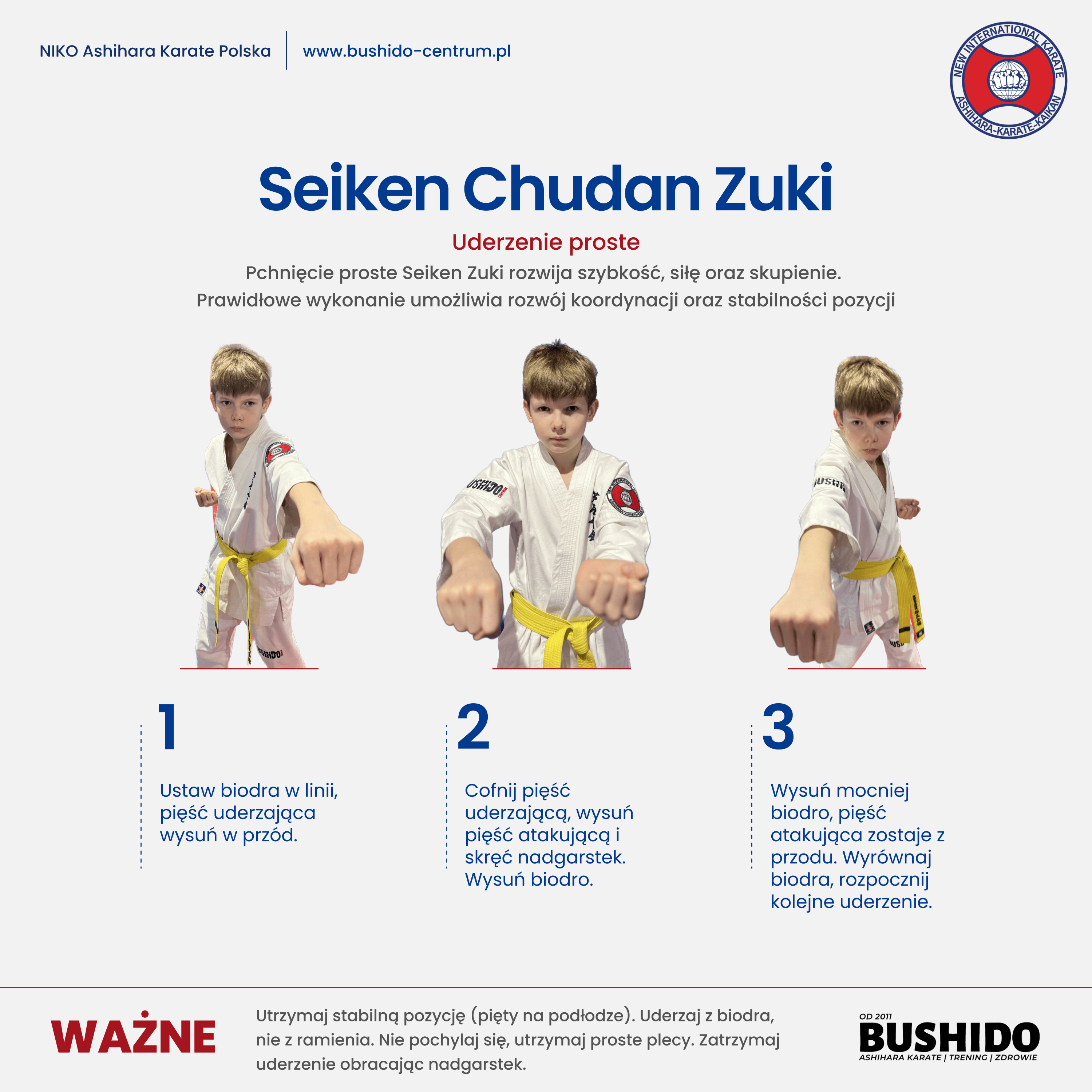 Seiken Chudan Zuki