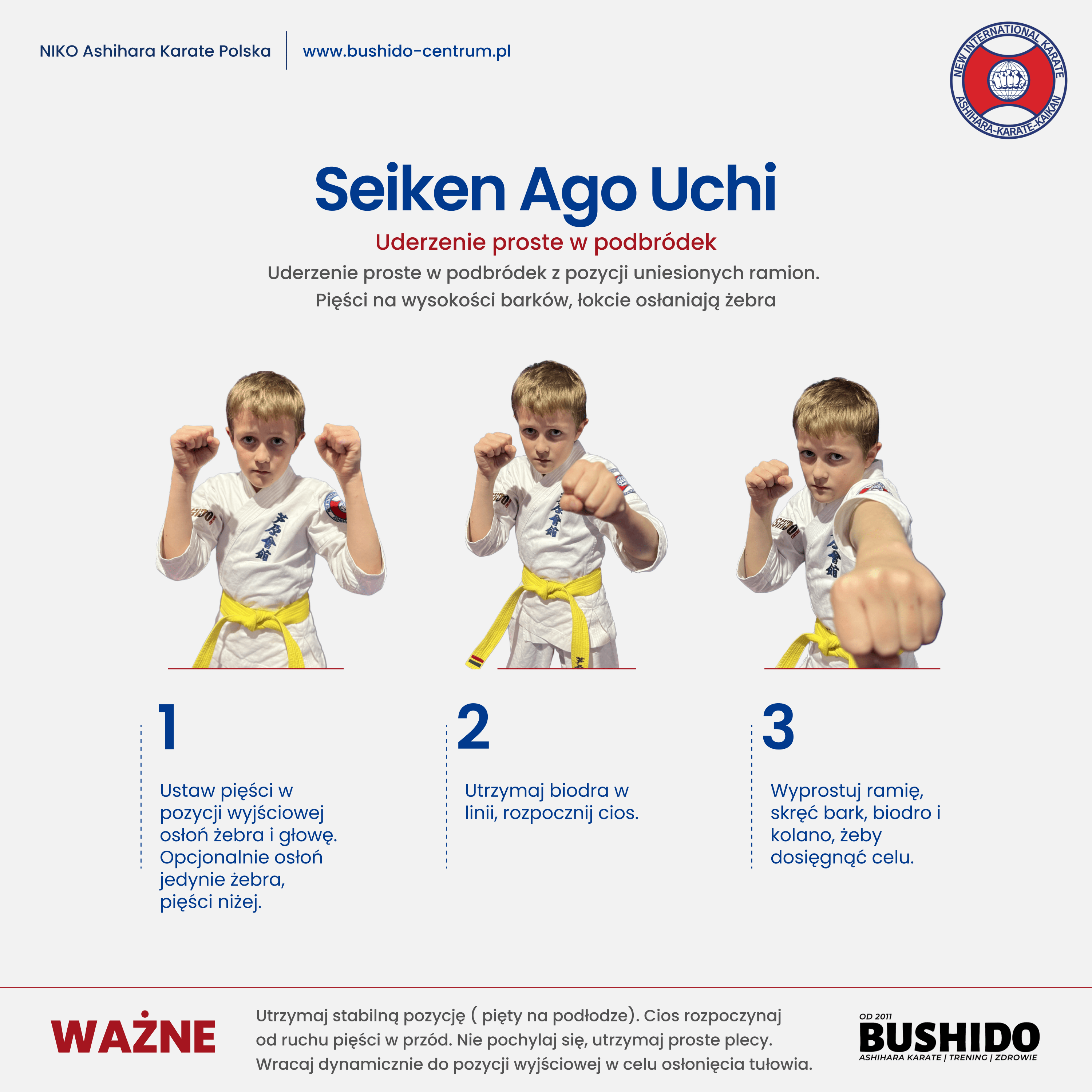 Seiken Ago Uchi
