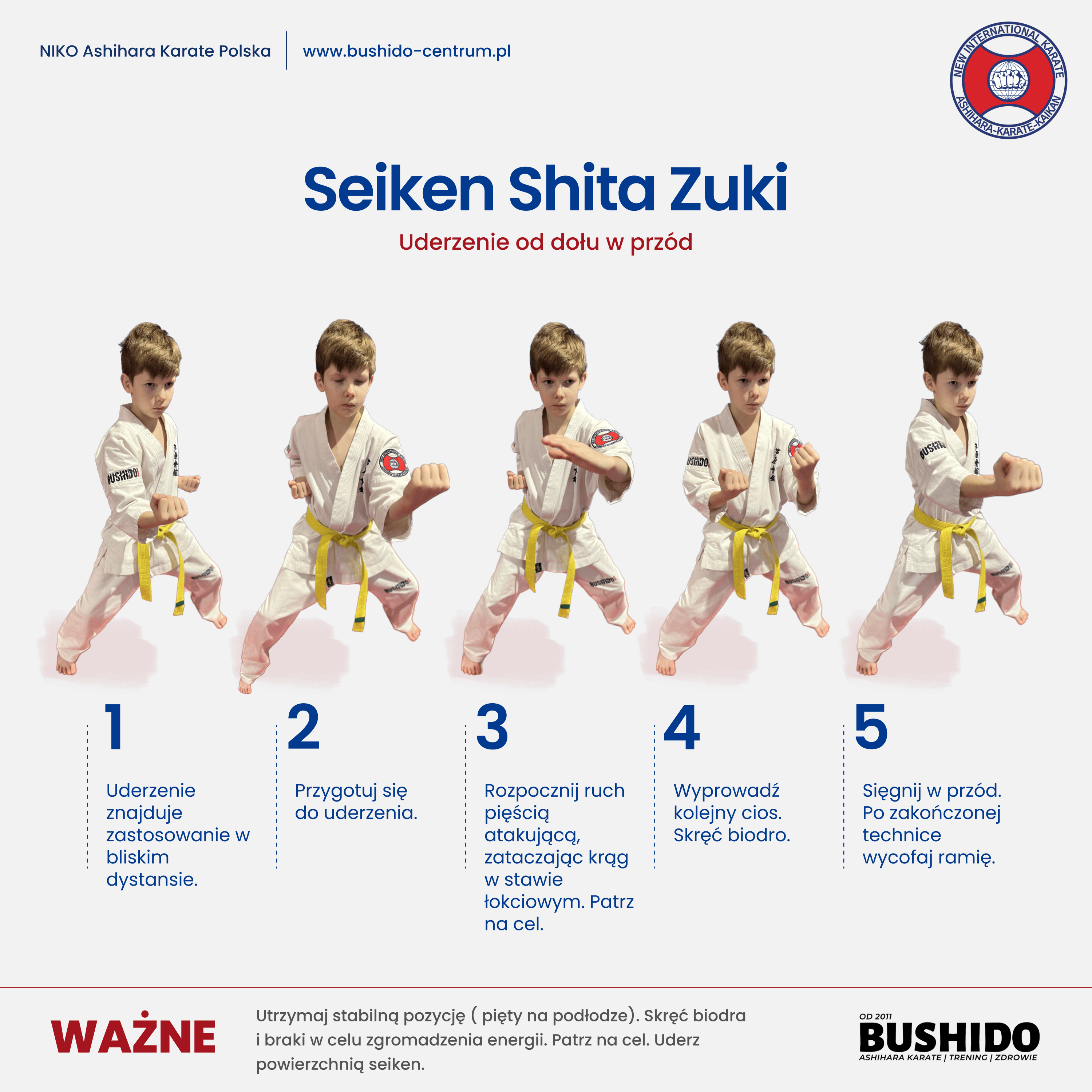 Seiken Shita Zuki