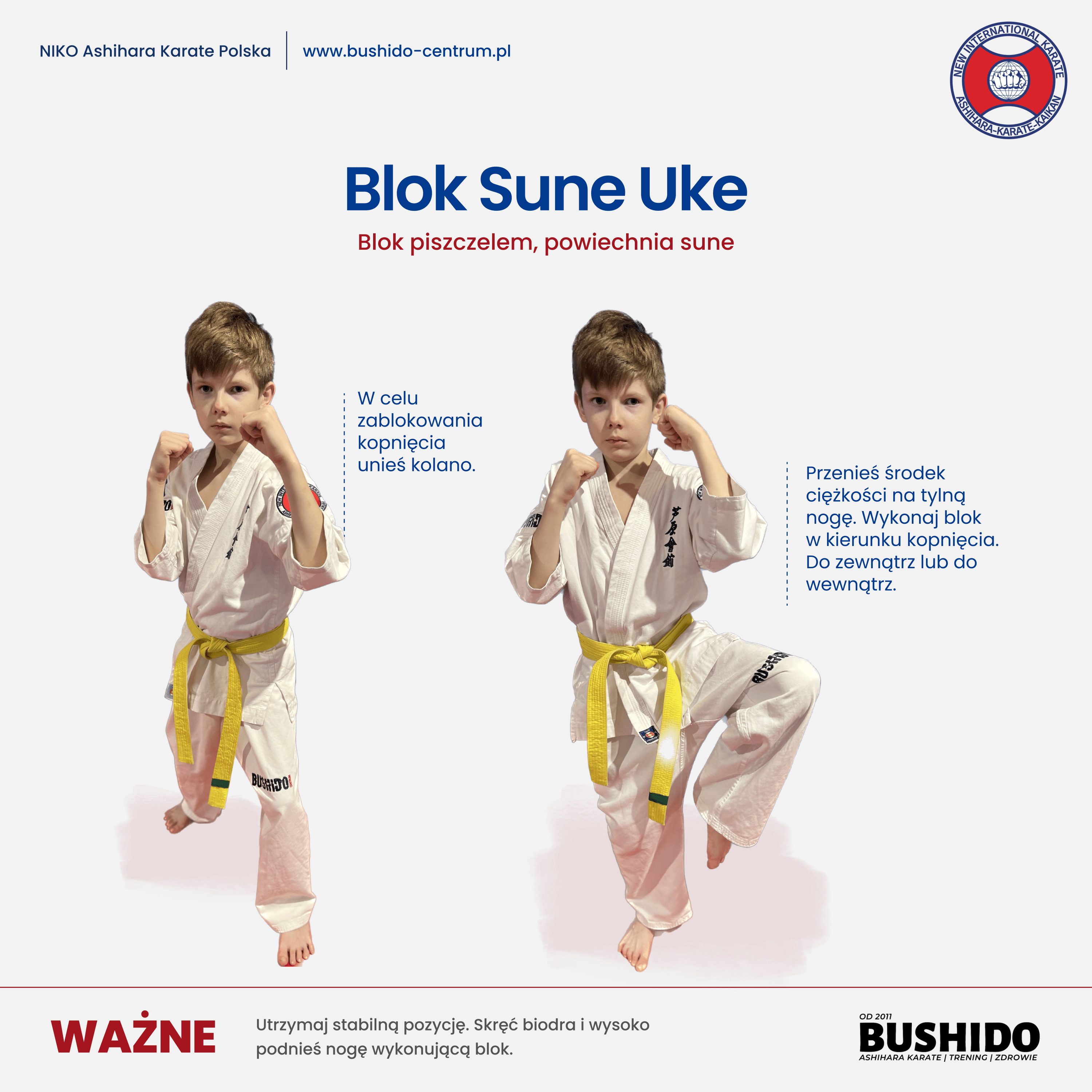 Blok Sune Uke