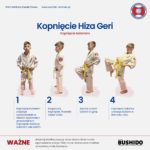 Kopnięcie Hiza Geri