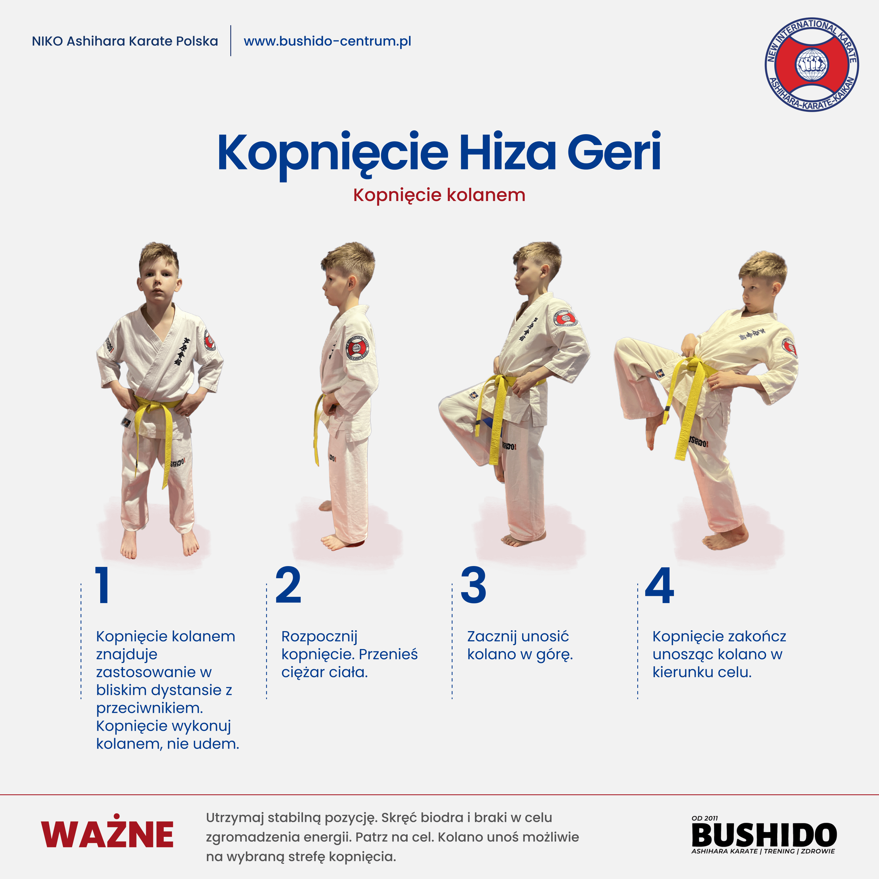Kopnięcie Hiza Geri