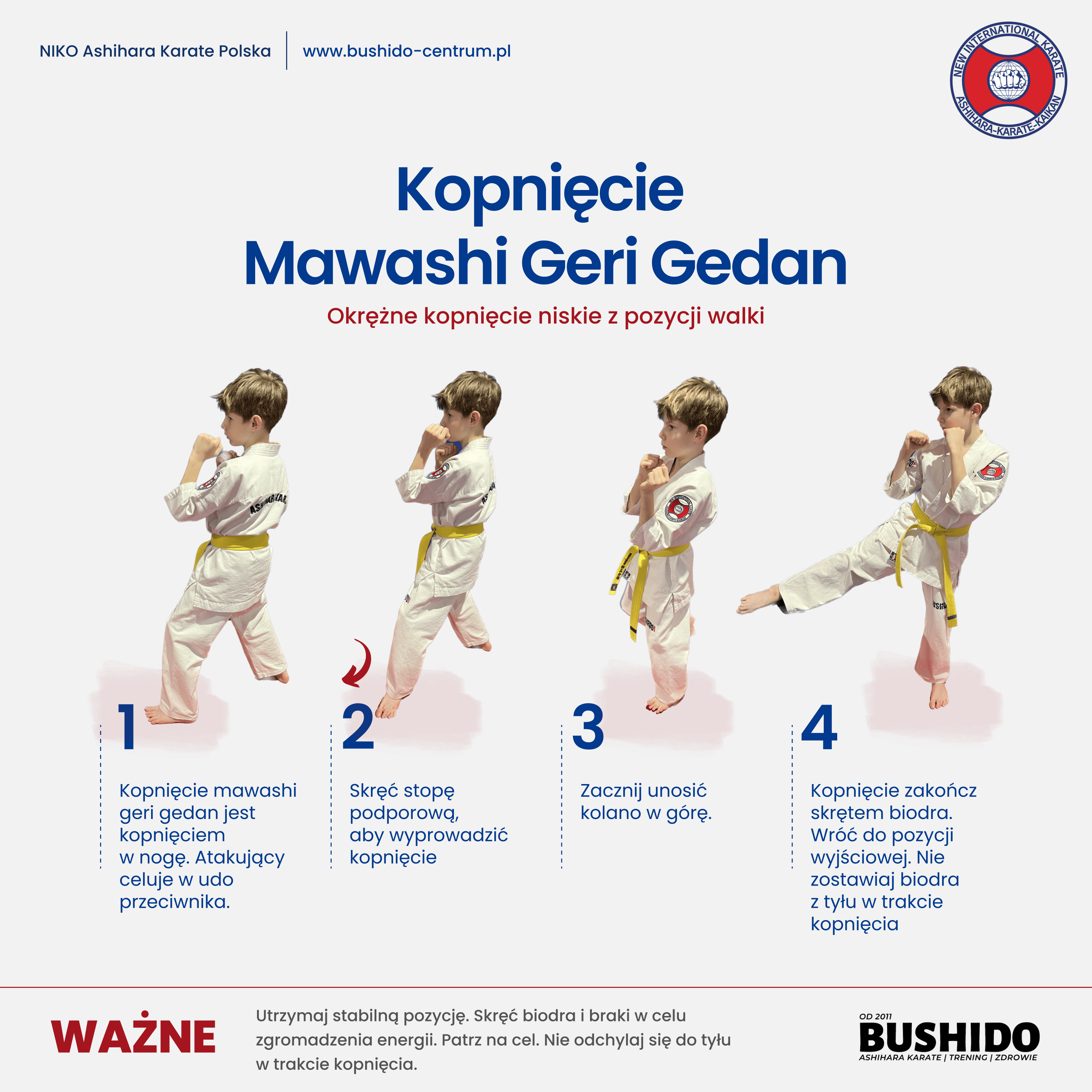 Kopnięcie Mawashi Geri Gedan